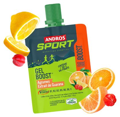 Andros Sport Boost Gel Energético Argumes/Extracto de Guaraná 40g