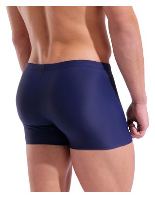 Arena Foliage Blue Men's Swimsuit