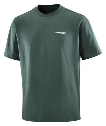 T-shirt manches courtes Salomon Freestyle Vert Unisexe