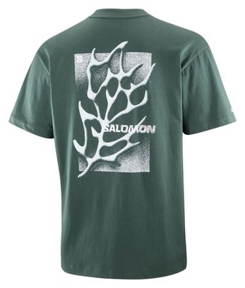 T-shirt manches courtes Salomon Freestyle Vert Unisexe