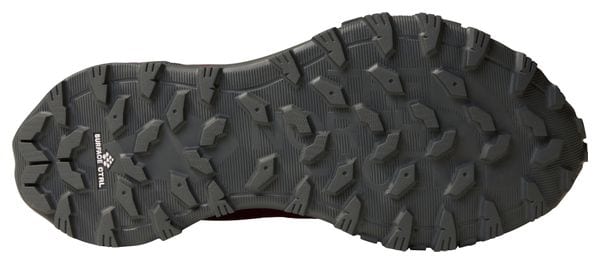 The North Face Hedgehog Gore-Tex Damesschoenen Wandelschoenen Paars