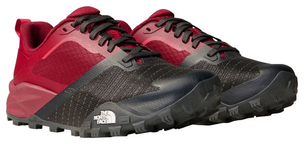 Chaussures de Randonnée Femme The North Face Hedgehog Gore-Tex Violet