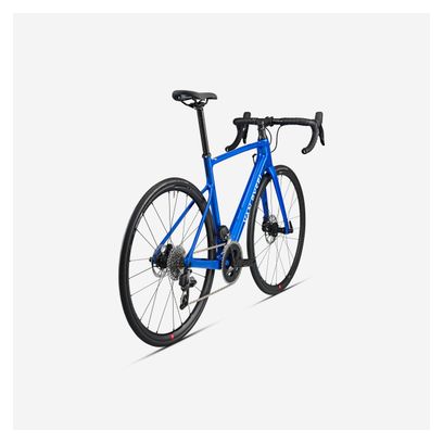 Van Rysel NCR CF Bici da strada Sram Rival eTap AXS 12S 700mm Blu 2024