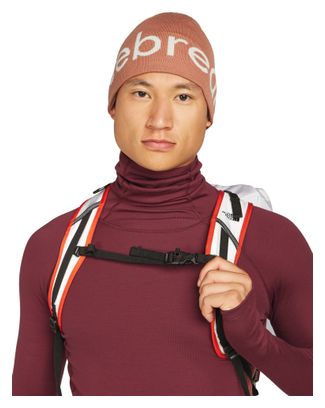 Bonnet Unisexe Icebreaker Merino Marron