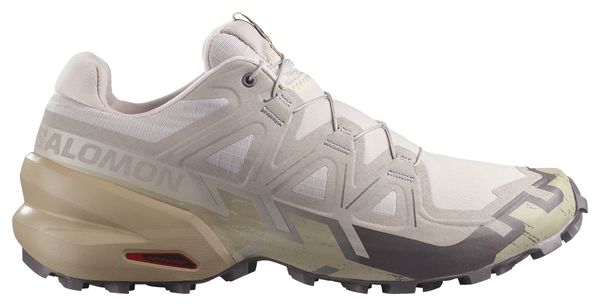 Chaussures Trail Salomon Speedcross 6 Gris Homme