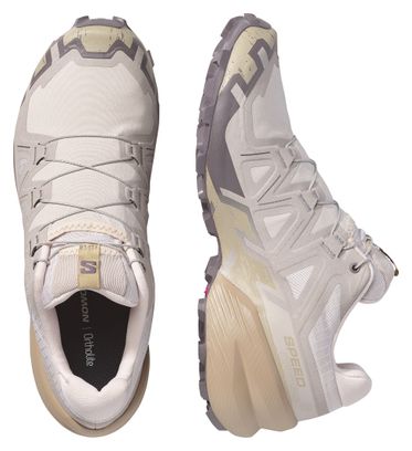 Chaussures Trail Salomon Speedcross 6 Gris Homme