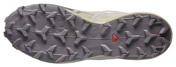 Chaussures Trail Salomon Speedcross 6 Gris Homme