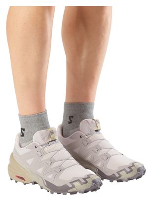 Chaussures Trail Salomon Speedcross 6 Gris Homme