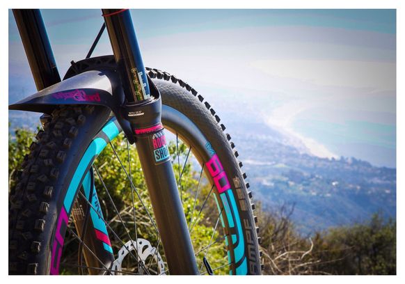 ALL MOUNTAIN STYLE Fork Guard Kit pcs Clear