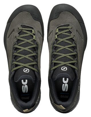 Chaussures d'approche Scarpa Rapid XT GTX Gris Homme