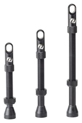 Paire de Valves Tubeless Syncros Presta Noir