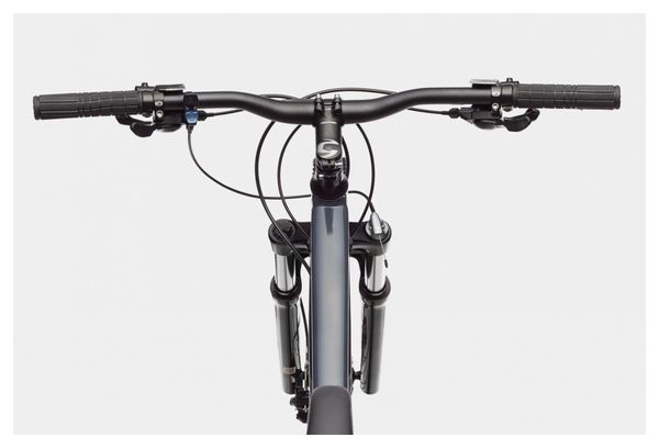 Cannondale Trail 6 29 Hardtail MTB Shimano Alivio/Altus 9S 29'' Slate Grey