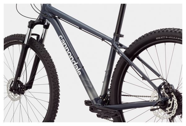 Cannondale Trail 6 29 Hardtail MTB Shimano Alivio/Altus 9S 29'' Slate Grey