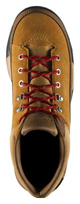 Danner Panorama Low 4 Brown Hiking Shoes