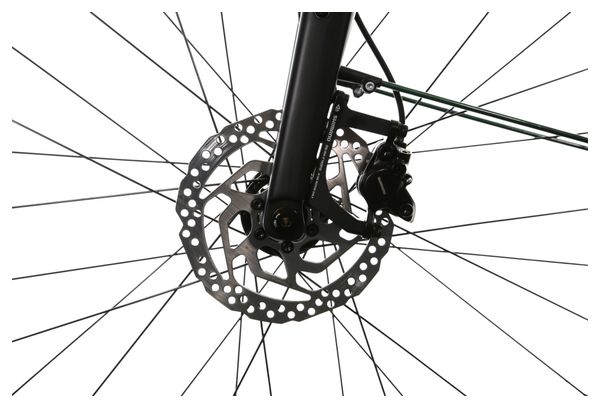 Vélo de Ville Bicyklet Gary Shimano Cues 10v  Vert