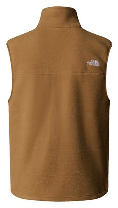 Forro polar sin mangas The North Face Yumiori Men's Brown