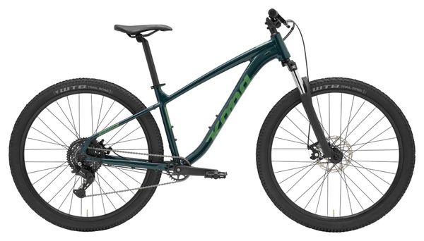 Kona Fire Mountain Mountain Bike with Shimano Altus 8-Speed 29'' Green