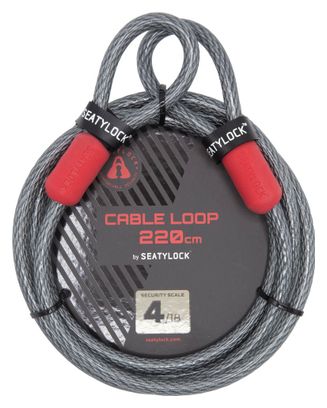 Seatylock Câble Antivol 220cm
