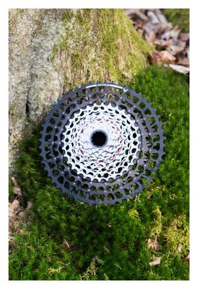 Sram 90 Eagle 12S AEB Group 36 Teeth - Brose/Sram