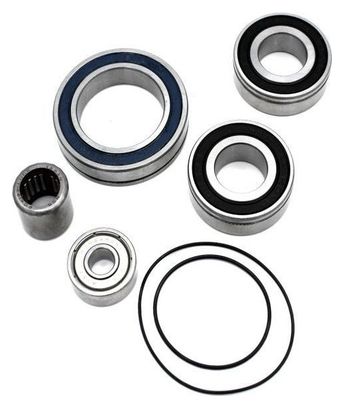 Blackbearing - service kit pour moteur panasonic 36V