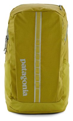 Patagonia Black Hole 25L Unisex Backpack Green