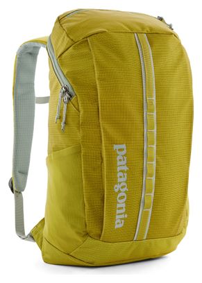 Patagonia Black Hole 25L Unisex Backpack Green