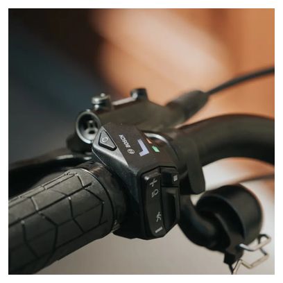 Bosch LED Controller for E-Bikes, Black (BRC3610)