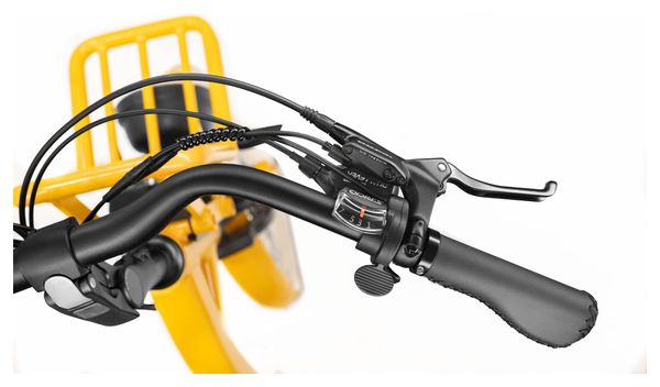 Vélo Cargo GAYA  L'Incroyable Le Long  Cobalt  pack bébés