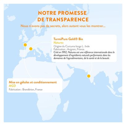 Curcuma BIO Breveté Haute Absorption - Confort Articulaire - 60 gélules