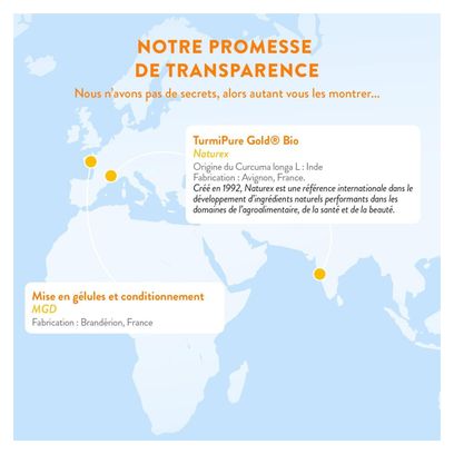 Curcuma BIO Breveté Haute Absorption - Confort Articulaire - 60 gélules