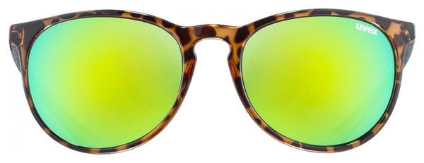 UVEX Lgl 43 Sunglasses Havana / Green