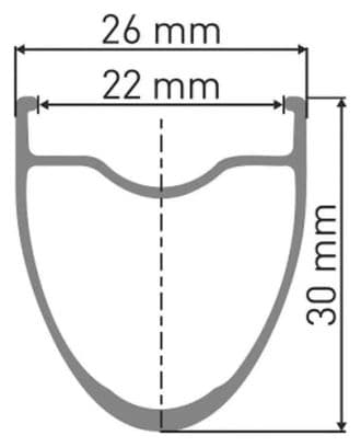 Roue arrière Dt Swiss Er 1600 Spline 30 Db Disque Tubeless Route Roue avant Argenté 12 x 100 mm