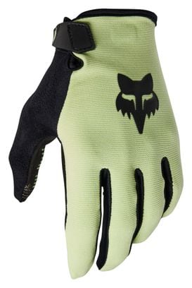 Fox Ranger Handschuhe Grün