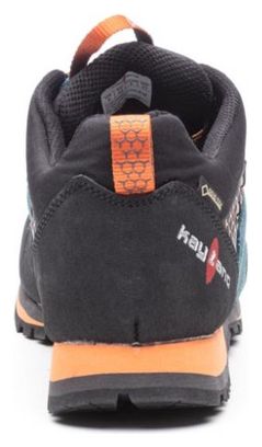Kayland Vitrik Gtx Approach Shoes Blue