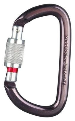 Mousqueton escalade Amd Screw Lock Petzl - Violet