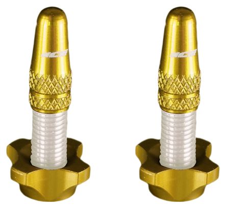 Ice Kit of Aluminium Plugs (x2) and Nuts (x2) Airflow Gold