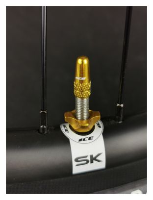 Ice Kit of Aluminium Plugs (x2) and Nuts (x2) Airflow Gold