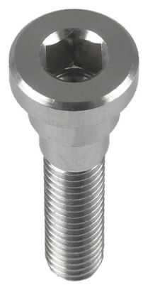 Hope Head Doctor Screw Silver