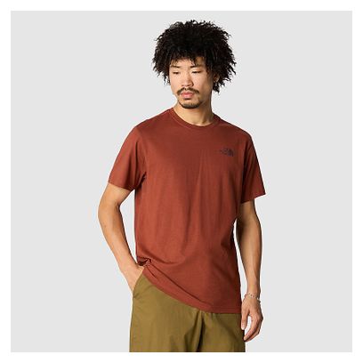 The North Face Redbox Celebration Short Sleeve T-Shirt Bruin