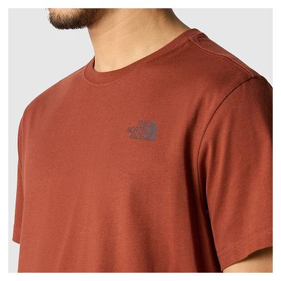 The North Face Redbox Celebration Short Sleeve T-Shirt Brown