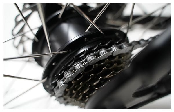 Tricycle électrique - vélo cargo - Qivelo Curve DR7 - 481Wh - Shimano 7 vitesses
