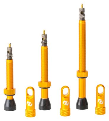 Coppia di valvole Tubeless Syncros Presta Orange