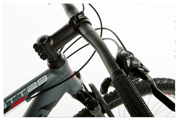 Vtt moma gtt 29 2025