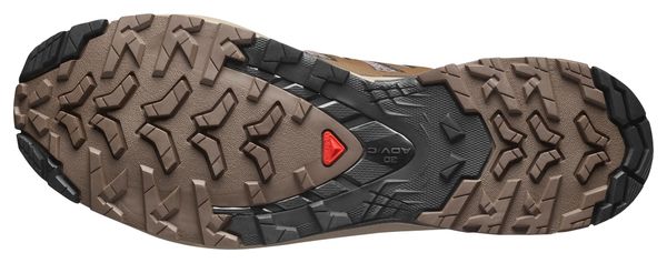 Scarpe da trail Salomon XA Pro 3D V9 marroni da uomo