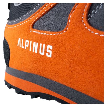 Chaussures de randonnée Alpinus The Ridge Low Pro - Homme