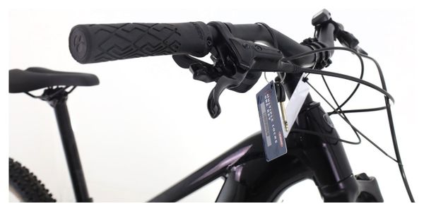 Produit reconditionné · Trek Powerfly+ 4 / Vélo VTT électrique | Très bon état