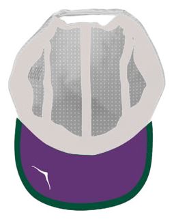 Casquette Hoka Les Templiers Performance Vert/Violet