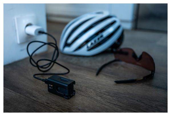 Shimano Di2 EC-DN100 Oplader voor BT-DN320 Accu