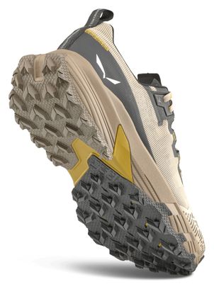 Scarpe da trekking Salewa Pedroc 2 Max beige da uomo