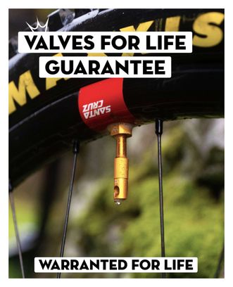 Peaty's x Chris King MK2 60mm Válvulas Tubeless Negras (13 Pares)